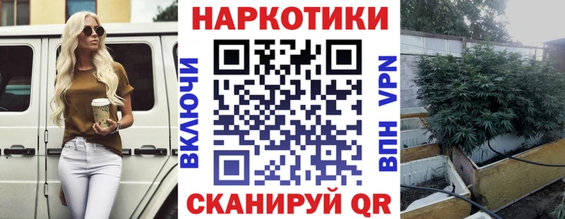 Наркота Болохово ГАШ  гидра   Мефедрон  АМФ  Псилоцибиновые грибы 