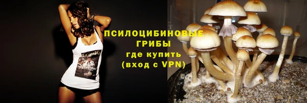 a pvp Кинешма