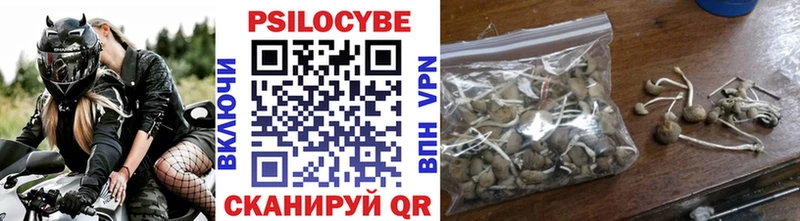 что такое наркотик  Болохово  blacksprut рабочий сайт  Галлюциногенные грибы Psilocybine cubensis 